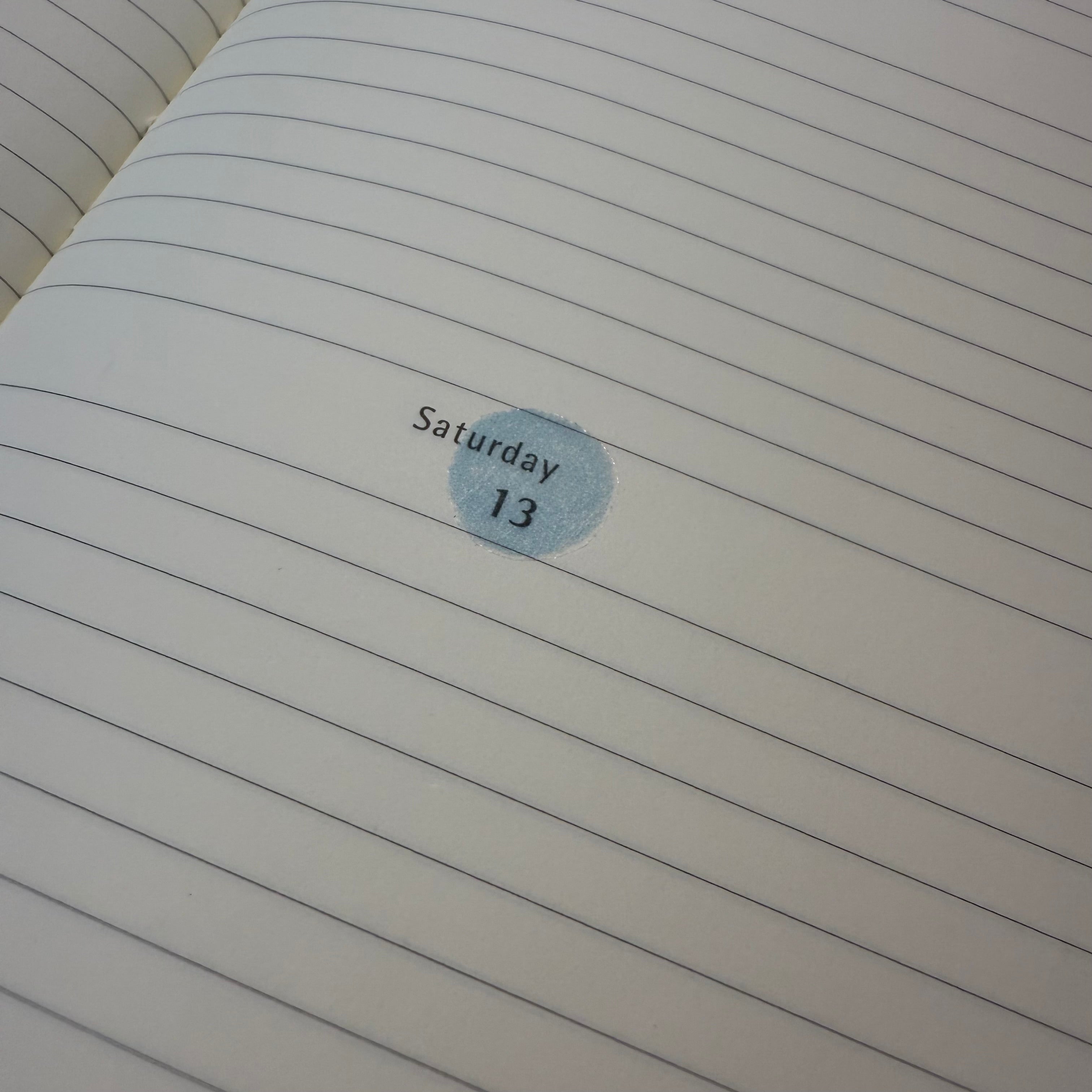 FLIGHT fun fun l semi clear planner sticker